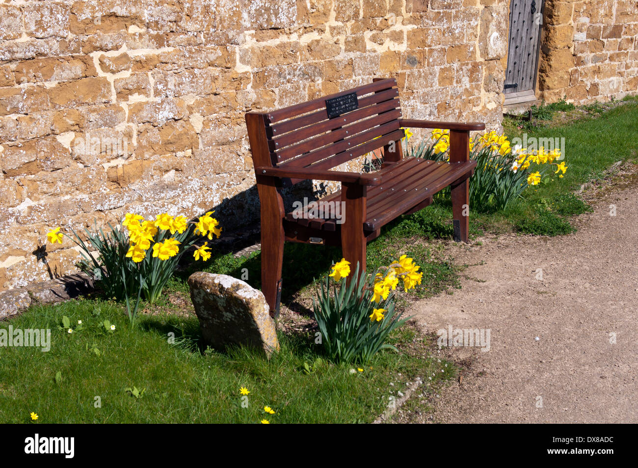 Bench with daffodils, St. Martin`s Church, Barcheston, Warwickshire, England, UK Stock Photo